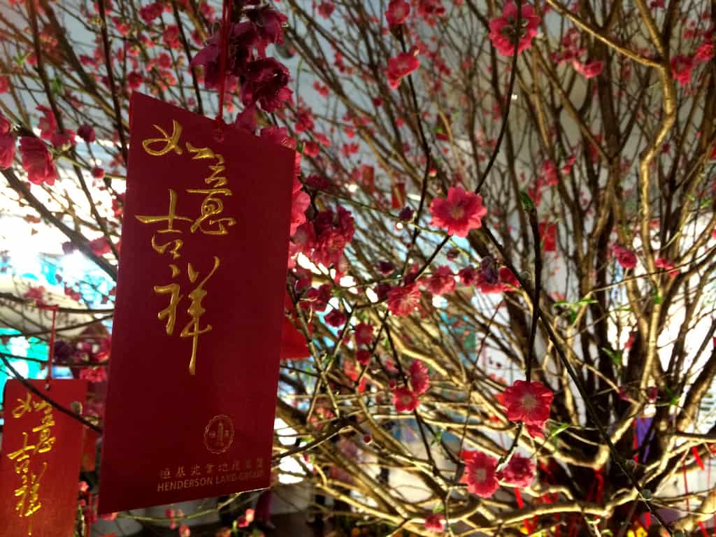 Hong Kong - Chinese New Year