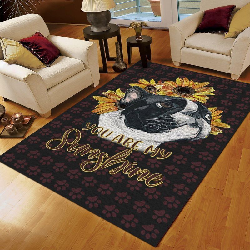 Boston Sunshine Area Rug Carpet