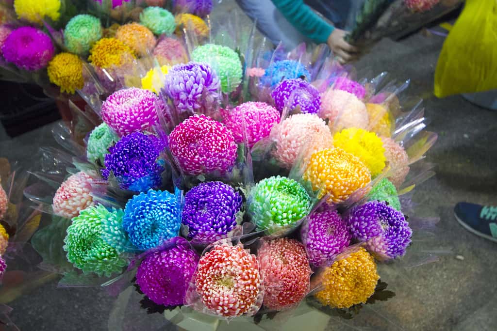 Hong Kong - Chinese New Year