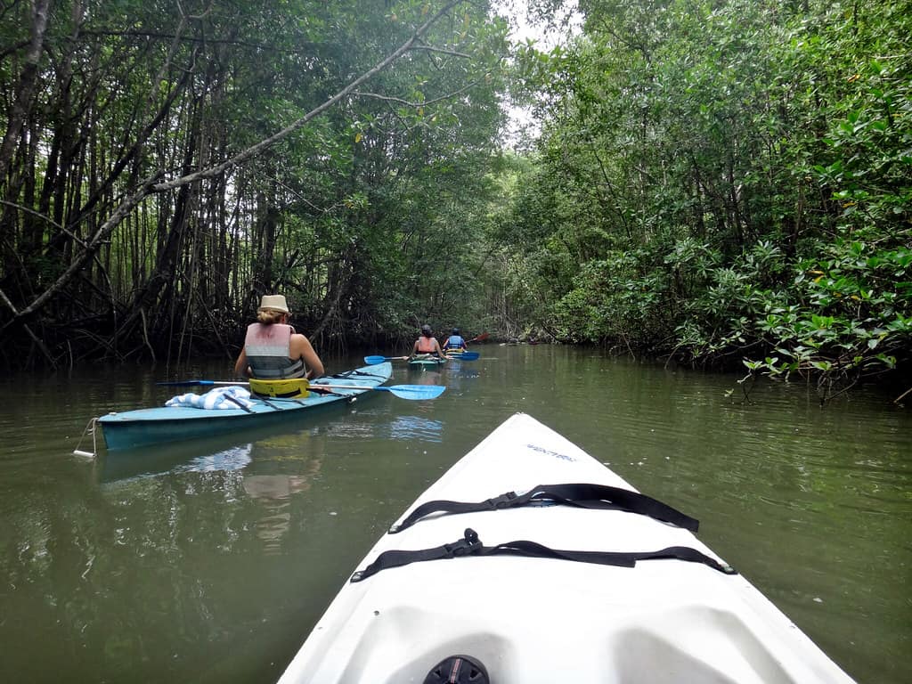 10 Things That (No One Ever Told You) Can Kill You in Costa Rica
