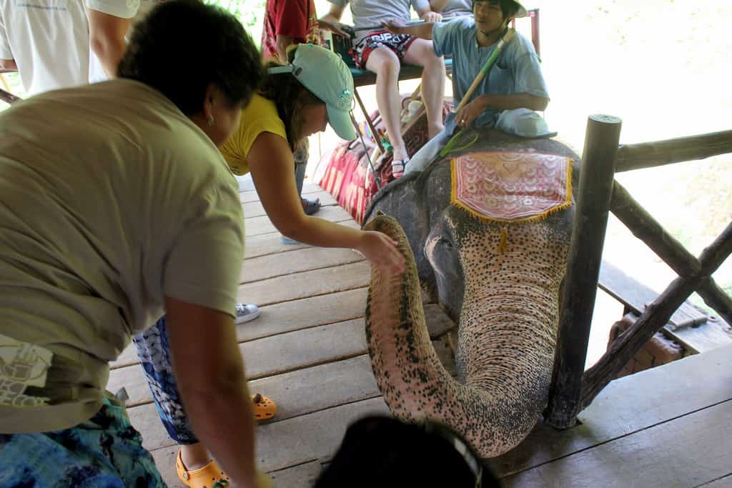 Island Safari Tour (or Why You Shouldn’t Ride Elephants in Thailand)
