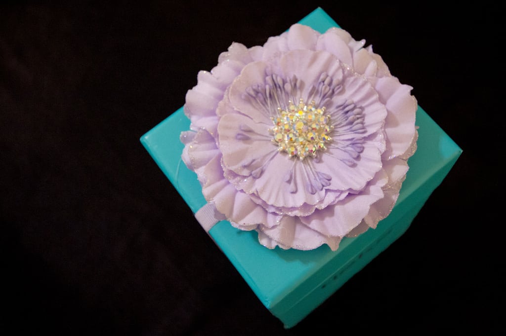 Wandering the World With Tieks - Tieks Shoes Reviews
