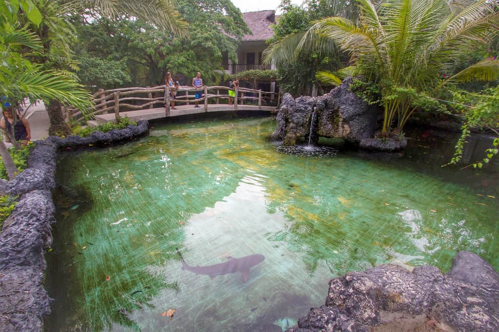 BLUEWATER MARIBAGO IS VERY FILIPINO