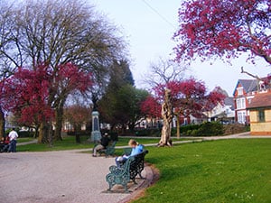 Cardiff-in-Wales-there-are-loads-of-parks-everywhere