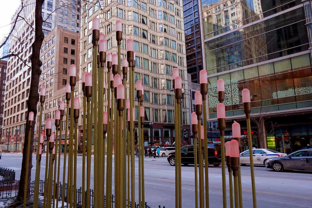 THE COMPLETE GUIDE TO CHINESE NEW YEAR EVENTS IN CHICAGO