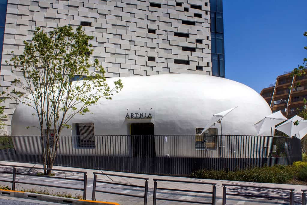 5 STRANGE THEMED CAFES IN TOKYO
