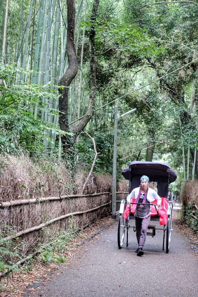 Kyoto - 2011