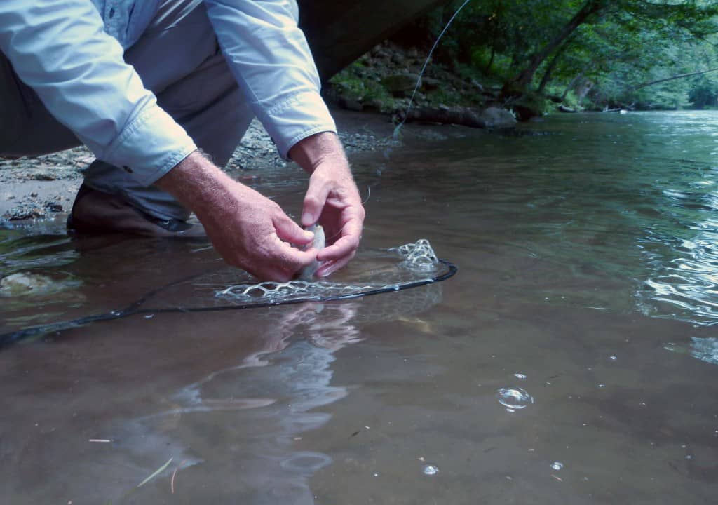 Tennessee - 2010