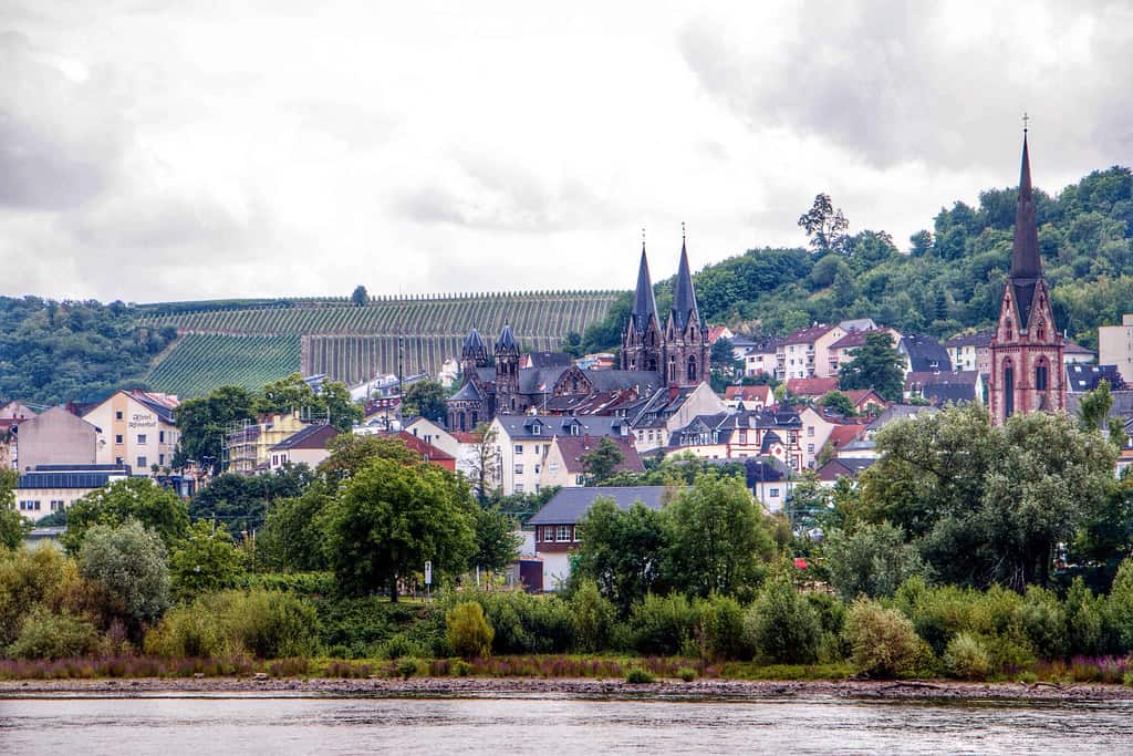 Rhineland - June 2014