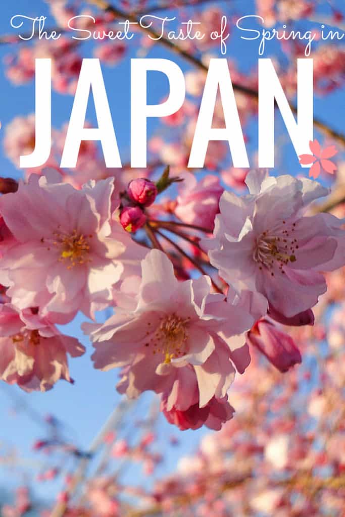 sweet-japan-2