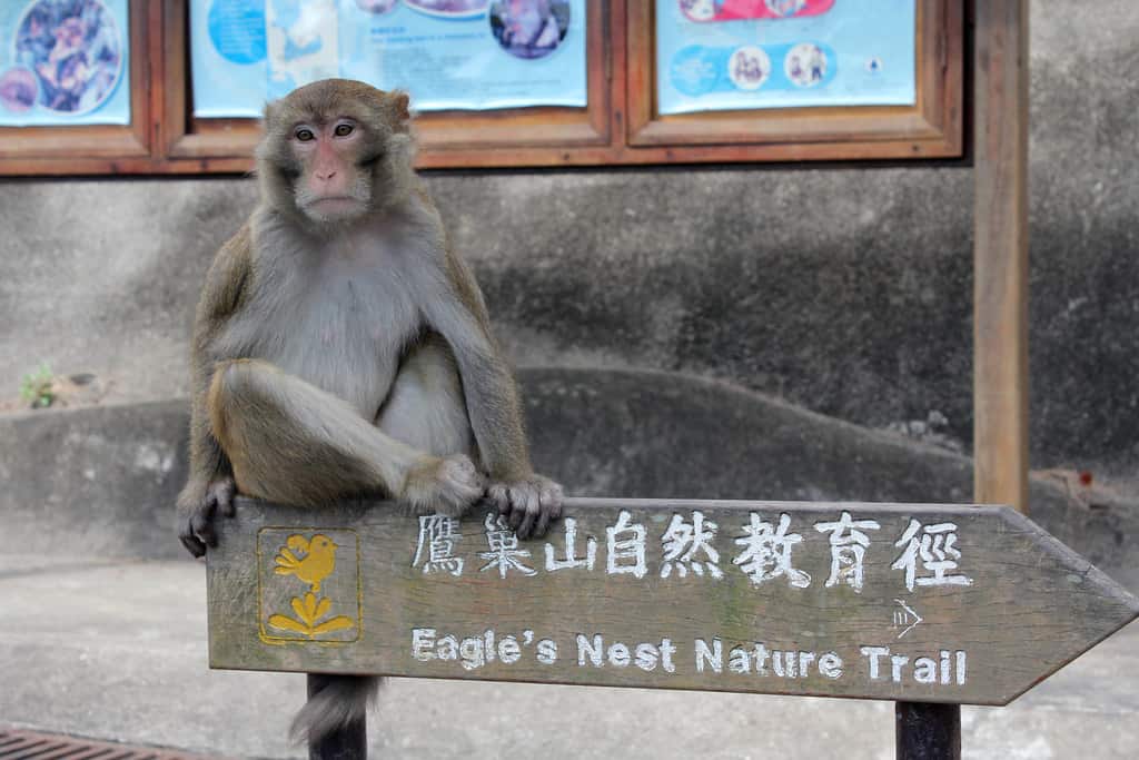 FIND YOUR SENSE OF ADVENTURE IN HONG KONG