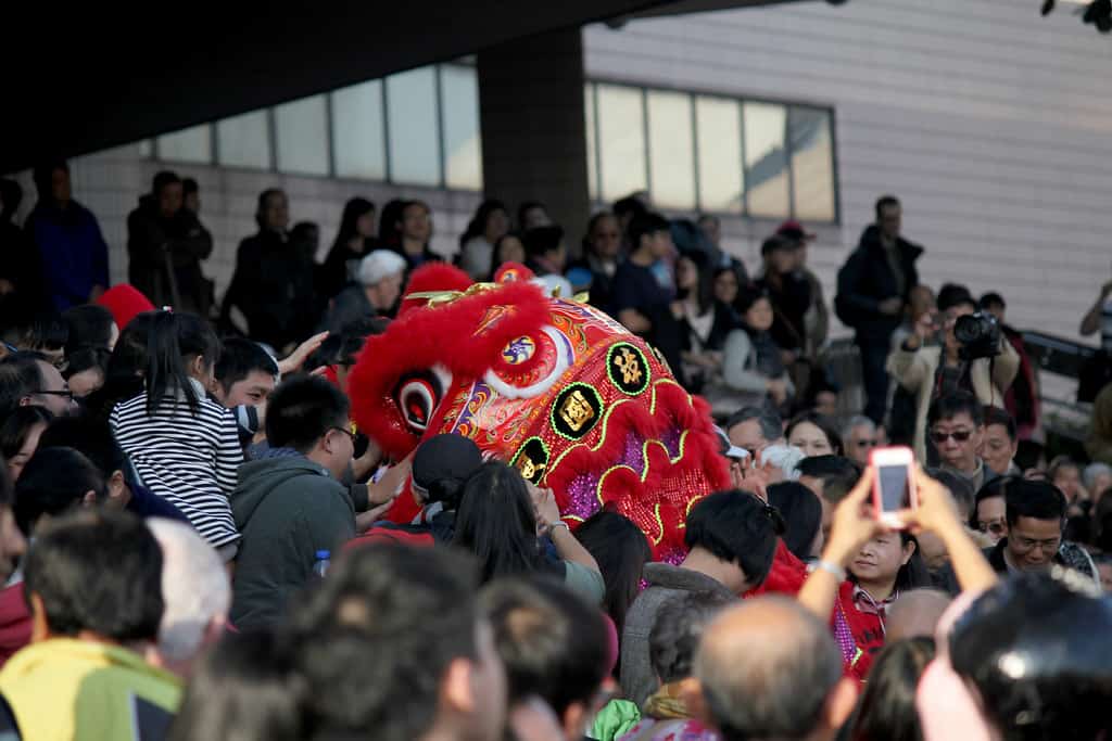 FOTO FRIDAY: DRAGON AND LION DANCE EXTRAVAGANZA