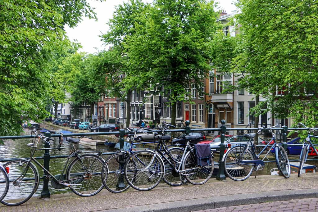 I AM(NOT)STERDAM
