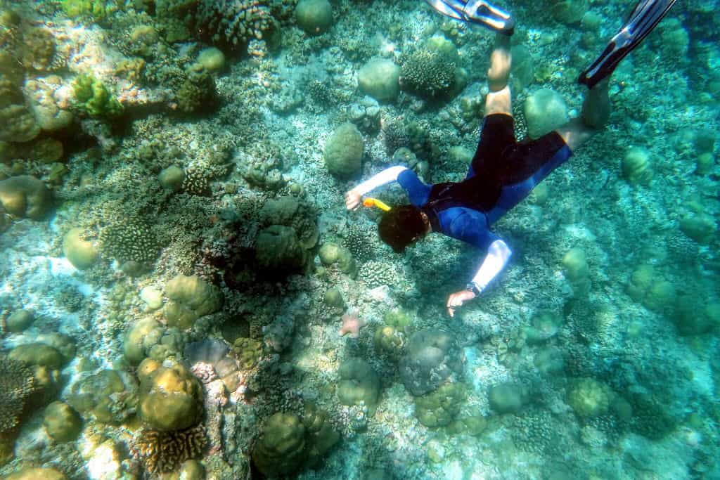 TOP 5 THINGS TO DO IN THE MALDIVES