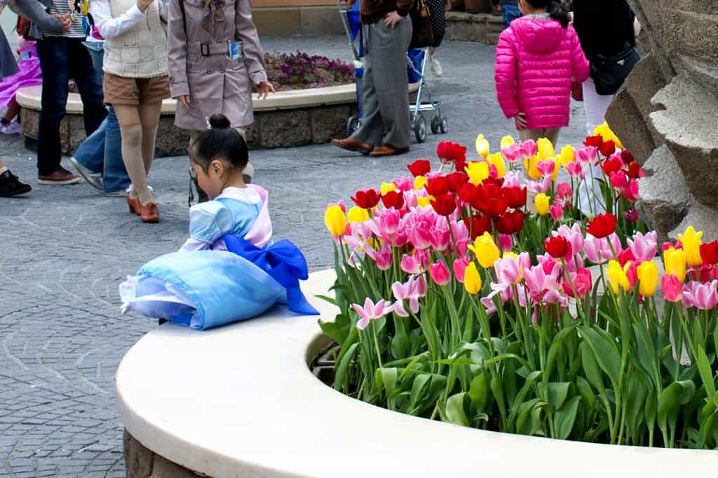 Tokyo Disney