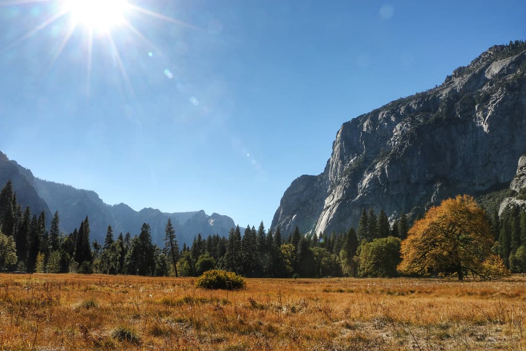 INSIDE YOSEMITE NATIONAL PARK