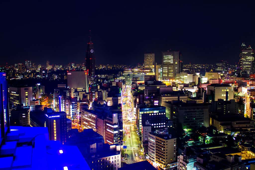 FOTO FRIDAY: OVERLOOKING SHINJUKU