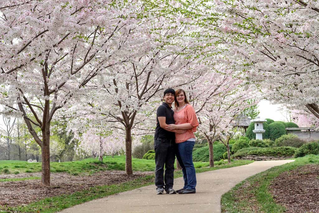 THE BEST PLACES TO SEE CHERRY BLOSSOMS IN THE US