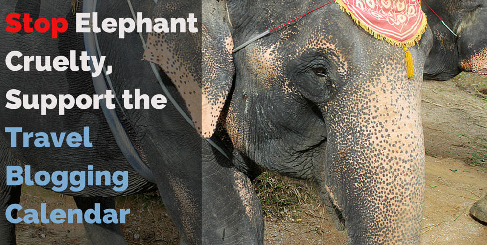 STOP ELEPHANT CRUELTY