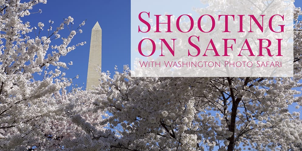 SHOOTING ON SAFARI WITH WASHINGTON PHOTO SAFARI