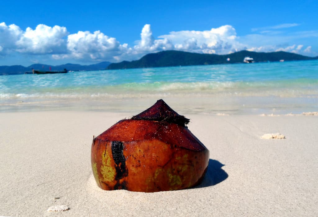 Top 5 Things to Do in Phuket - Thailand
