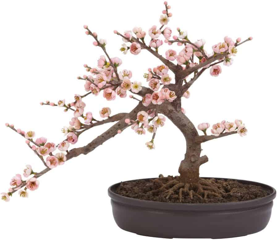 Nearly Natural Japanese Cherry Blossom Decor