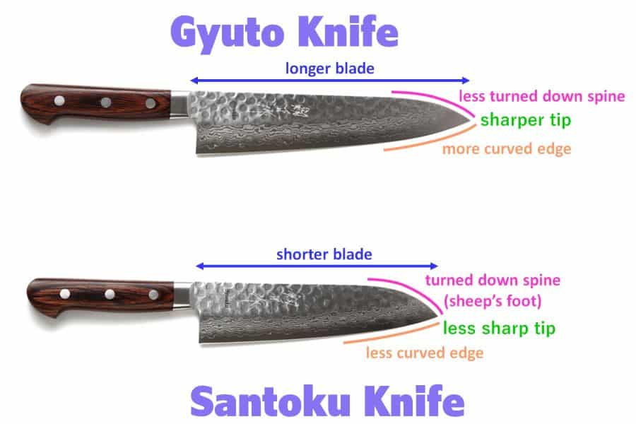 Santoku vs Gyuto knife. Difference between Santoku vs Gyuto knife