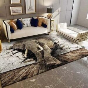 3D Area Rug