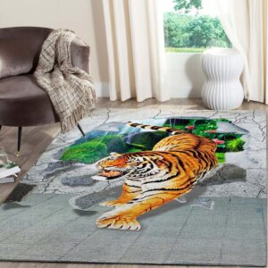 3D Area Rug