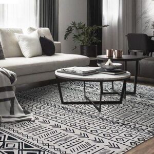Native American Rug Carpet