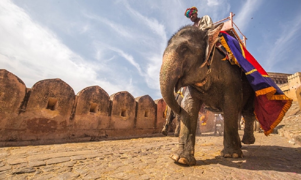 7 Unforgettable experiences that you only experience in Rajasthan