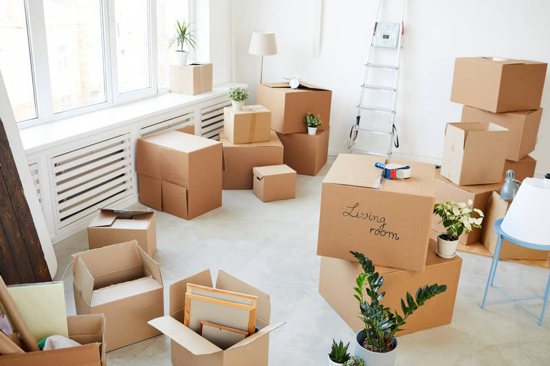 5 Essential Tips for a Smooth Moving Day