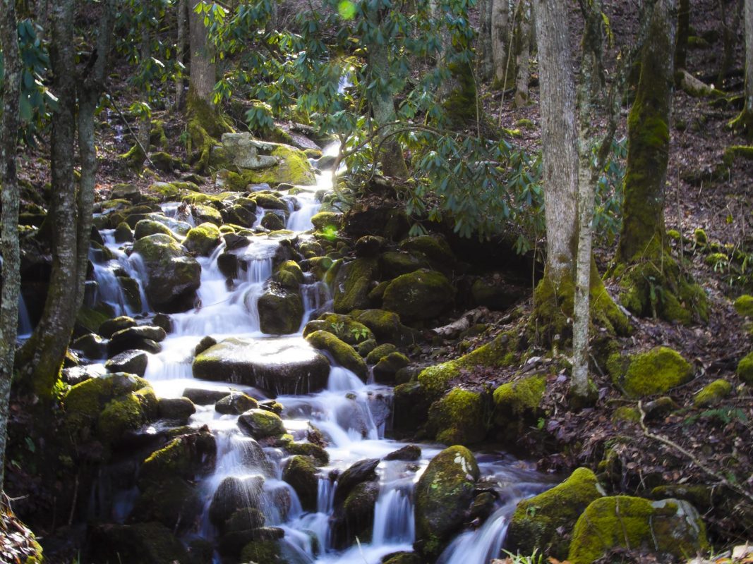 9 Travel Tips to Visit Pigeon Forge and Gatlinburg