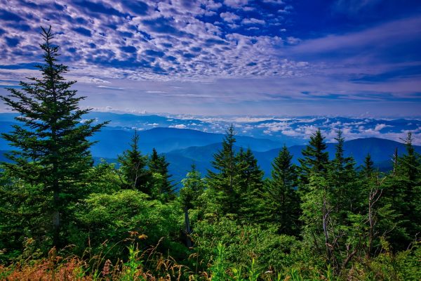 11 Tips for Your First Trip to the Smoky Mountains