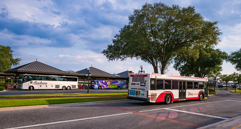 Disney World: 5 Transportation Tips To Help You Save Time
