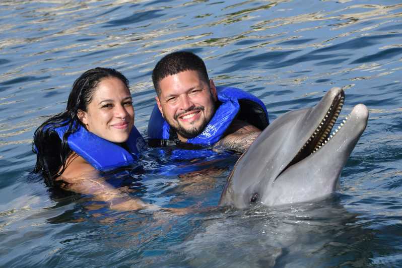 DIRECTIONS FOR SWIMMING WITH DOLPHINS 