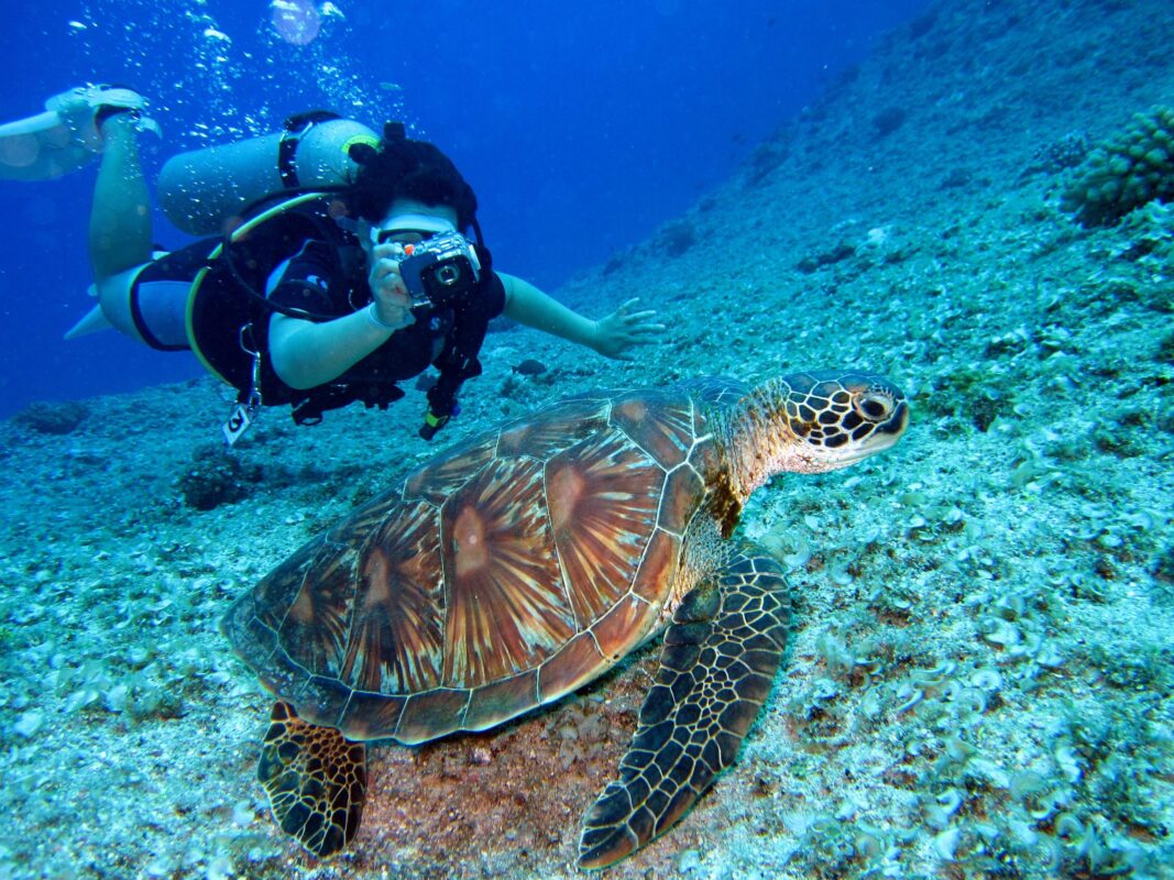 Conquering Your Fears: The Top Adrenaline-Pumping Activities for the Bold Traveler