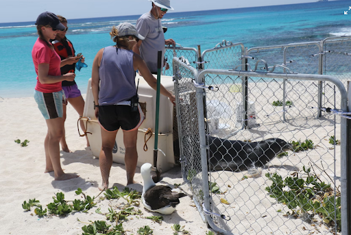 The significance of marine biology camps for teens