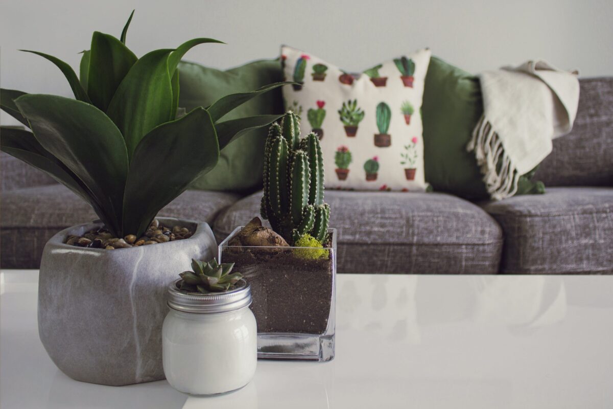 Simple Decor Ideas To Make Your Apartment Feel Brighter