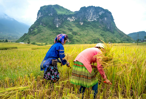 5 Benefits of Traveling to Boost Your Academic Success and Career Prospects