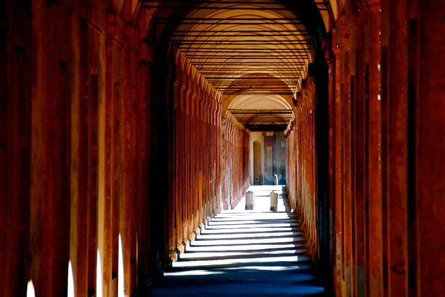 Enjoy incredible flavors in the best restaurants that you can not miss if you visit Bologna