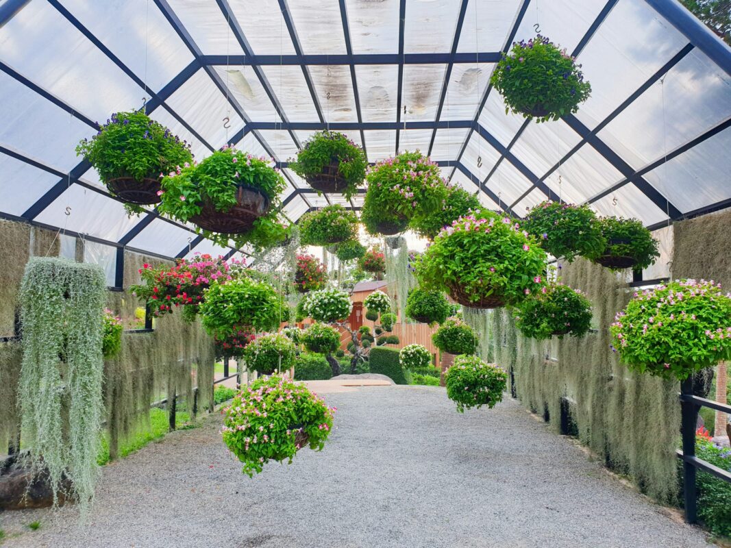 Vacationing Without Worry: Preparing Your Garden for Time Away