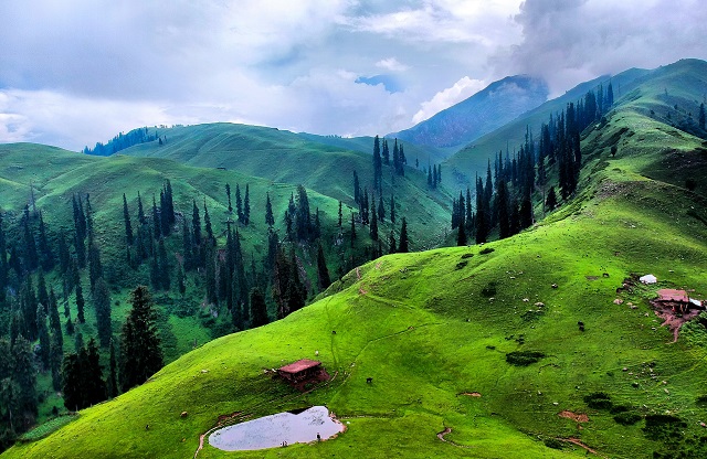 Wildlife in Pakistan: A Journey Through Nature’s Wonders
