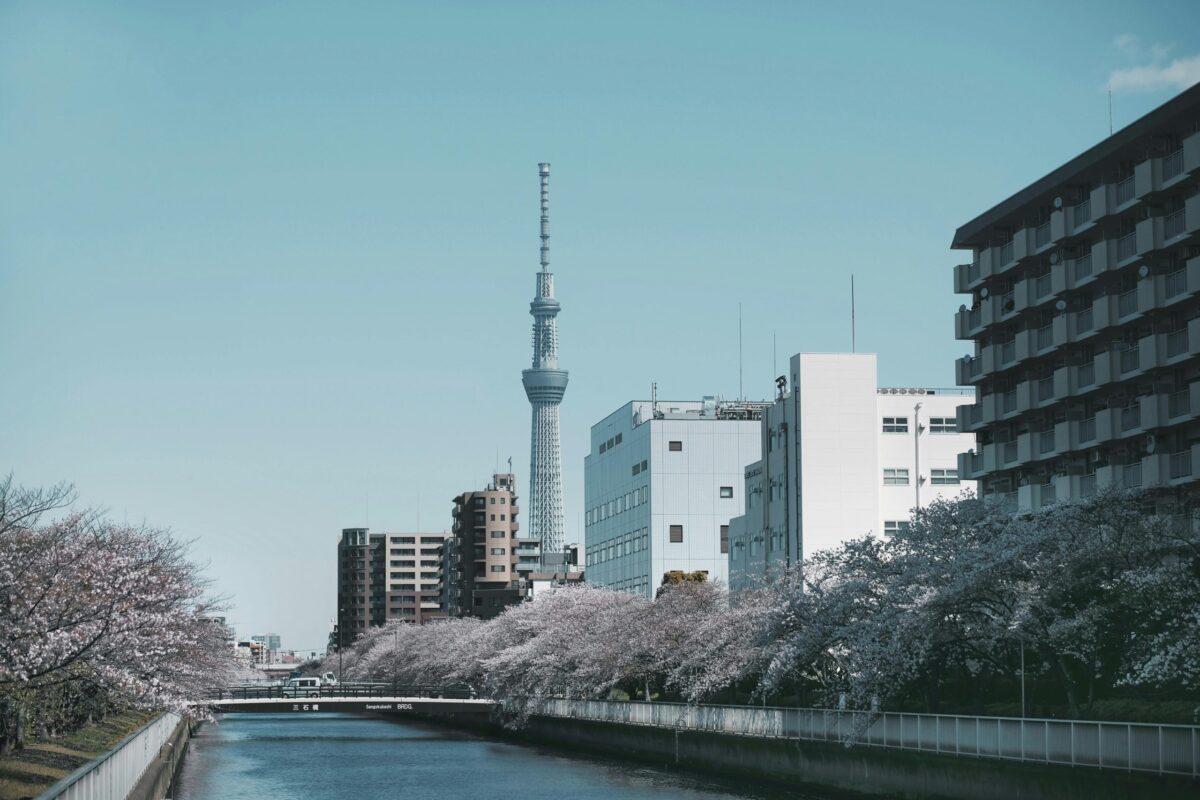 Where to Go on a Trip from Tokyo? Tips for Unforgettable Nearby Destinations 
