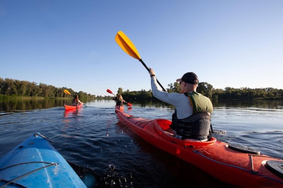 A Guided Kayak Tour: The Best Way to Witness Manatees and Other Wildlife in Silver Springs